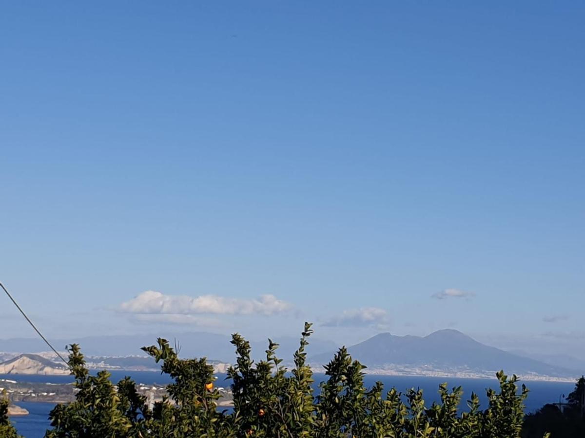 Sweet Home La Chicca Ischia Exterior foto